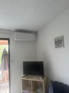 Zimmer mit einem Flachbild-TV auf einem Tisch in der Unterkunft Les Marines in San-Nicolao