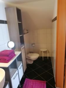 un baño con inodoro y lavabo en Hänsler's Hof, en Arzl im Pitztal 21 fotos más
