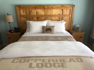 Gallery image of The Copperhead Lodge & Resort in Blairsville