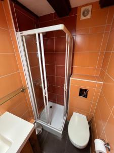 une salle de bain avec une douche avec des toilettes et un lavabo dans l'établissement Gîte des Amoureux, à Colmar
