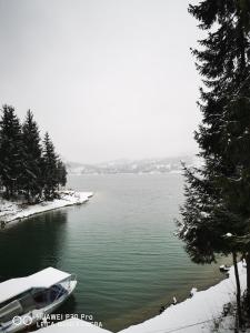 a boat is docked on a lake in the snow at Colibița A-frame in Colibiţa +15 photos