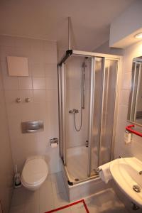 a bathroom with a shower and a toilet and a sink at Hotel Maucksches Gut in Freiberg