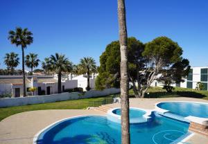 a palm tree and a swimming pool in a resort at Casa Binimel-là con piscina a Cala n'Bosh Menorca in Cala en Bosc