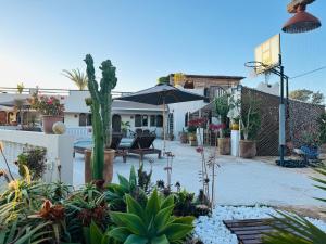 un patio con un mucchio di piante in un cortile di Kiola Villa a Taghazout