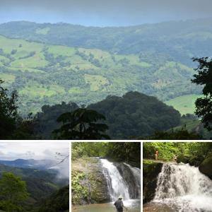 Gallery image of Econative Baru Toucan Cabin con vista al bosque de Platanillo in Platanillo