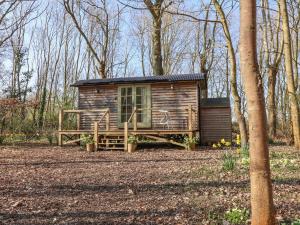 una pequeña cabaña en medio del bosque en Woodlands Retreat Shepherd's Hut, en Woodbridge
