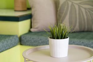 eine weiße Vase mit einer Pflanze auf dem Tisch in der Unterkunft Bungalow Angelika Campo Golf in San Bartolomé de Tirajana