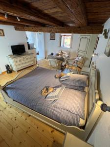 TV a/nebo společenská místnost v ubytování Gîte de la Rivière Enchantée