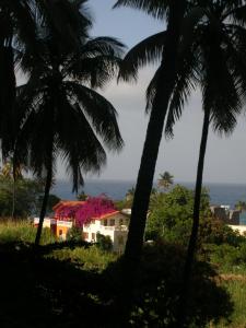 une maison avec des palmiers et l'océan en arrière-plan dans l'établissement Aldeia Jerome, à Paul