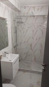 a bathroom with a shower and a toilet and a sink at Casa 1 Mai in Curtea de Argeş