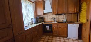 Kuchnia lub aneks kuchenny w obiekcie Apartment 9181 Feistritz in Rosental ,Klagenfurt