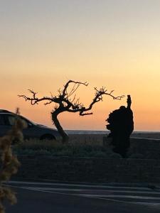 ein Auto, das an der Seite einer Straße mit einem Baum parkt in der Unterkunft Residence D Été in Propriano