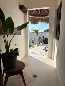 Balkón nebo terasa v ubytování Hotel Mittoz Holbox