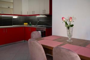 Kuchyň nebo kuchyňský kout v ubytování Cuka apartment 3BD nexto to metro and Piraeus Port