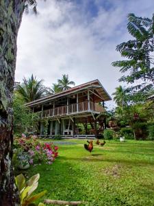 Zahrada ubytování Bohol Hammock Hostel
