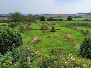 a field of green grass with bushes and flowers at Maison familiale charme à Wavrille, proche Verdun - FR-1-585-169 in Wavrille
