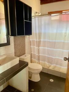 a bathroom with a toilet and a sink and a shower at Casa de playa en Wakama in San Vicente de Cañete