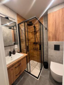 a bathroom with a shower and a sink and a toilet at Sagankowy Zakątek in Zakopane