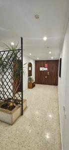 a hallway with a potted plant in a building at Mirador Céntrico Amplio y Soleado in Gandía