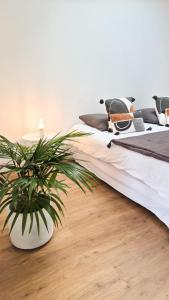 a bedroom with a bed and a potted plant at Villa Californienne au calme in Berre-les Alpes