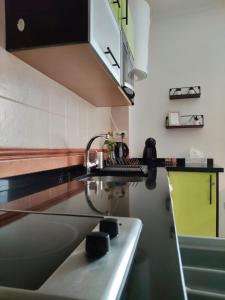 Kuchyňa alebo kuchynka v ubytovaní Green Duplex MM City Center