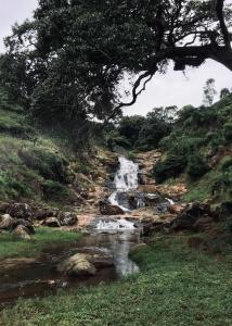 Paesaggio naturale nelle vicinanze della stanza in casa privata