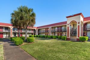 an exterior view of a building with a palm tree at Red Roof Inn Montgomery - Midtown in Montgomery