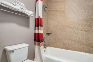 a bathroom with a toilet and a shower curtain at Red Roof Inn Montgomery - Midtown in Montgomery