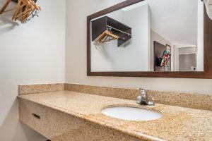 a bathroom with a sink and a mirror at Red Roof Inn Montgomery - Midtown in Montgomery