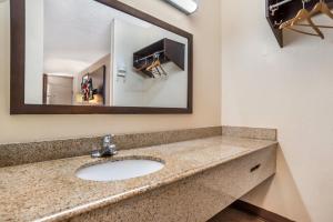 a bathroom with a sink and a mirror at Red Roof Inn Montgomery - Midtown in Montgomery
