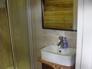 a bathroom with a sink and a mirror and a shower at Riggend Farm Bed and Breakfast in Airdrie