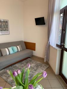 a living room with a couch and a window at Pensjonat Melodia in Pobierowo