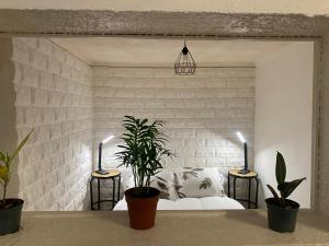 Gallery image of Miracles Apt parking gratuit in Aigues-Mortes