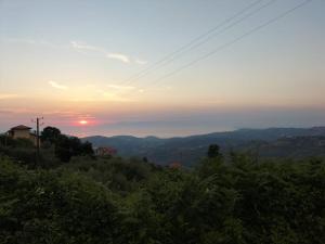 Príroda v okolí dovolenkového domu