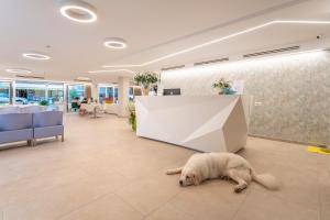 Fotografie z fotogalerie ubytování Hotel San Domingo v destinaci Bellaria-Igea Marina