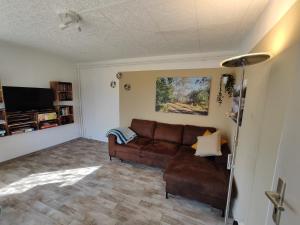a living room with a brown couch and a tv at Kleine Freiheit Nummer 2 in Reichendorf