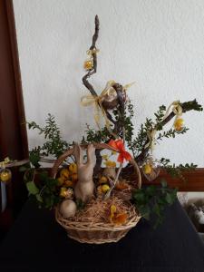 Jídlo v hotelu nebo okolí