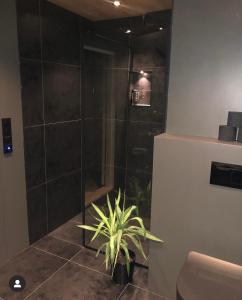 a bathroom with a shower with a plant in it at Seaside Villa with outdoor Jacuzzi in Haugesund