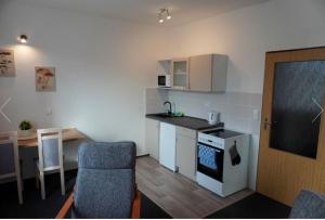 Kuchyň nebo kuchyňský kout v ubytování Letní Apartmány Nežárka