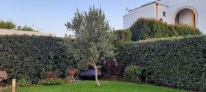 Foto dalla galleria di Villa Eleonora a San Foca Altre 29 foto