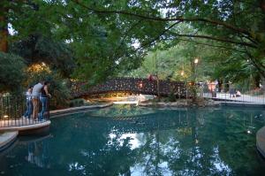 a man standing next to a bridge over a pond at Casa di Marisa in Chieti
