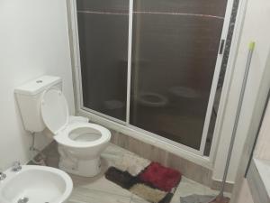 a bathroom with a shower and a toilet and a sink at Casa amoblada eventual in Villa Mercedes