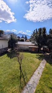 a small tree in the middle of a yard at Locarno, Casa Pioda - nahe Zentrum, mit Balkon und Parkplatz in Locarno +9 photos