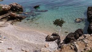 a beach with rocks and the clear water at Holiday Home Rubinić in Zavala