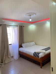 a bedroom with a bed with a red line on the ceiling at Mwashora in Nairobi