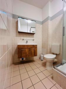 une salle de bain avec toilettes, lavabo et douche dans l'établissement Komfort trifft Kultur - Premium-Apartment mit Sauna, à Wittemberg