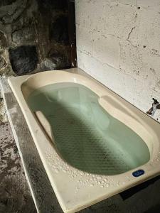 a bath tub filled with green water next to a wall at Casa Amanda in Villa de Alvarez