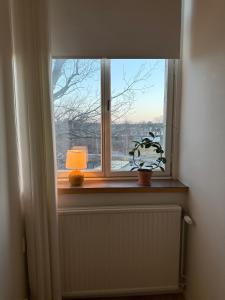 a window with a plant and a lamp on a window sill at Rindö Hamn Bed & Breakfast in Vaxholm +56 photos