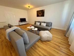 a living room with a couch and a table at PS Apartments Freienhufen in Großräschen