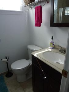 ein Badezimmer mit einer weißen Toilette und einem Waschbecken in der Unterkunft Ocean Block Beach Badges Cute Cottage In The Oceanblock No Streets To Cross 7 Houses To The Ocean Rear Cottage 13048 in Surf City